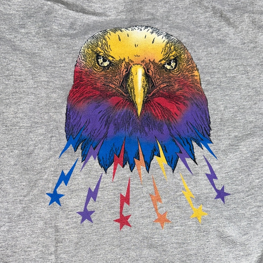 Lauren Moshi Gray Hoodie with Multicolor Accents - Picture 6 of 6